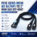 Xkuer PCIe Gen5 MCIO 8X 8i (74P) to Dual Mini SAS SFF-8087 Server Adapter Cable | 32Gbps High-Speed Data Transfer